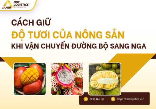 Cách giữ độ tươi của nông sản khi vận chuyển đường bộ sang Nga