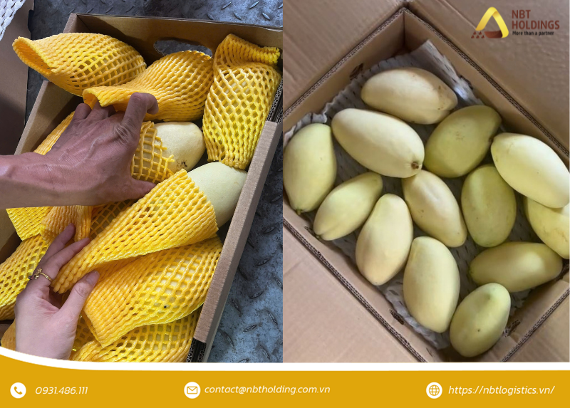 nbtholdings-xuc-tien-thuong-mai-viet-nga-2