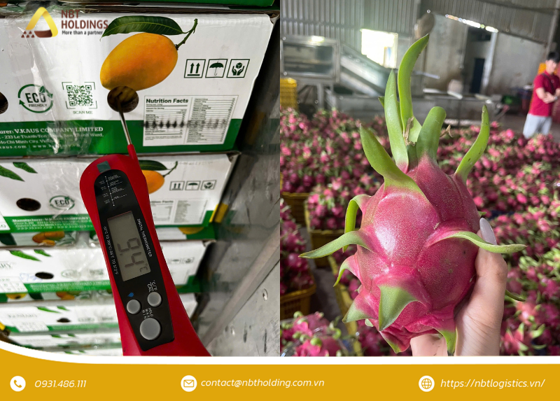 nbtholdings-xuc-tien-thuong-mai-viet-nga-3