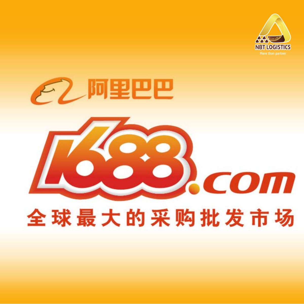 nh đại diện (1)